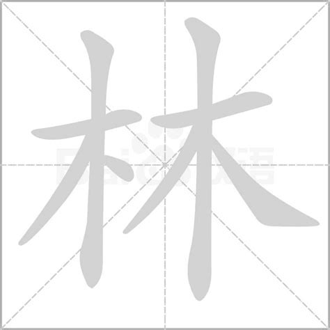 林字五行